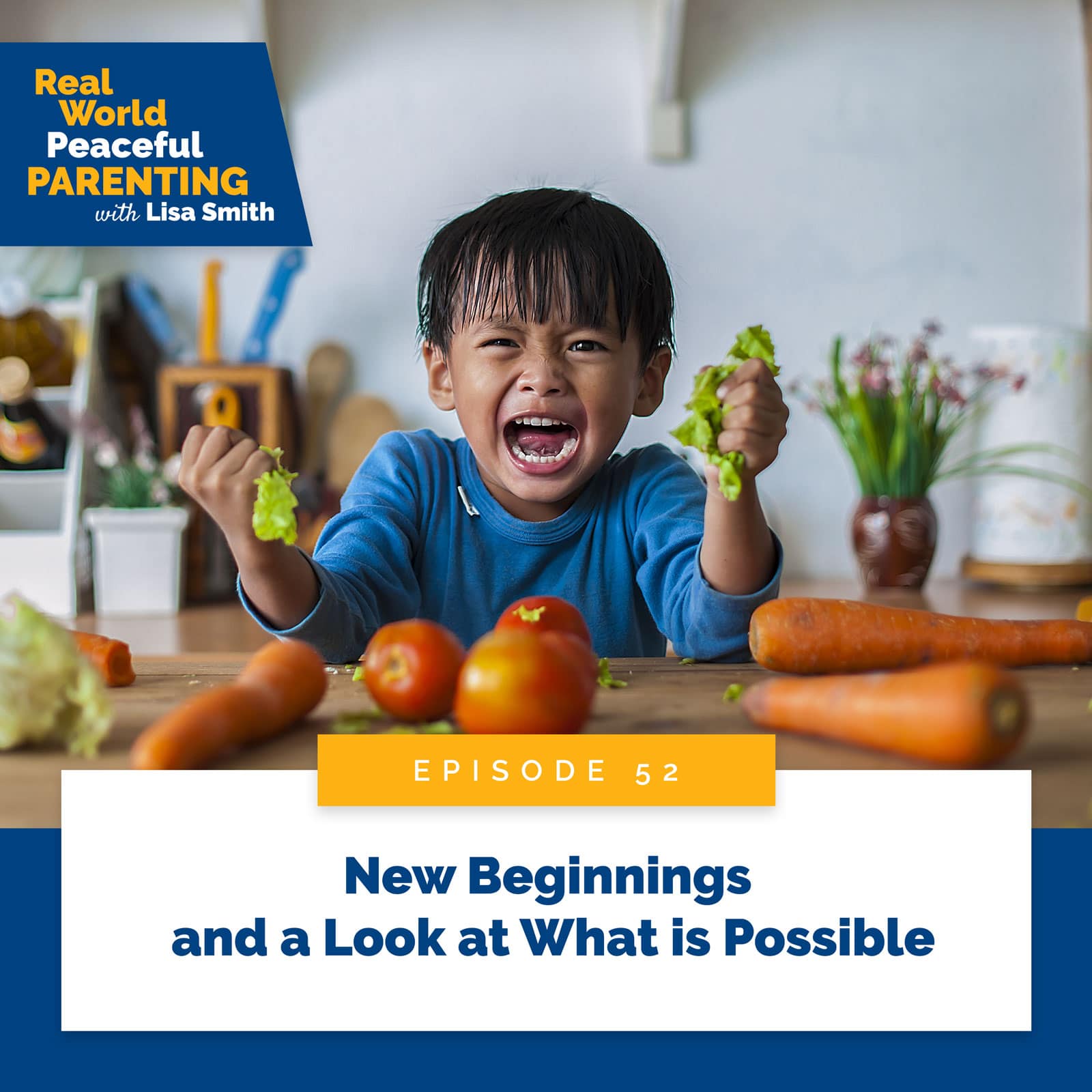Real World Peaceful Parenting with Lisa Smith | New Beginnings and a Look at What is Possible