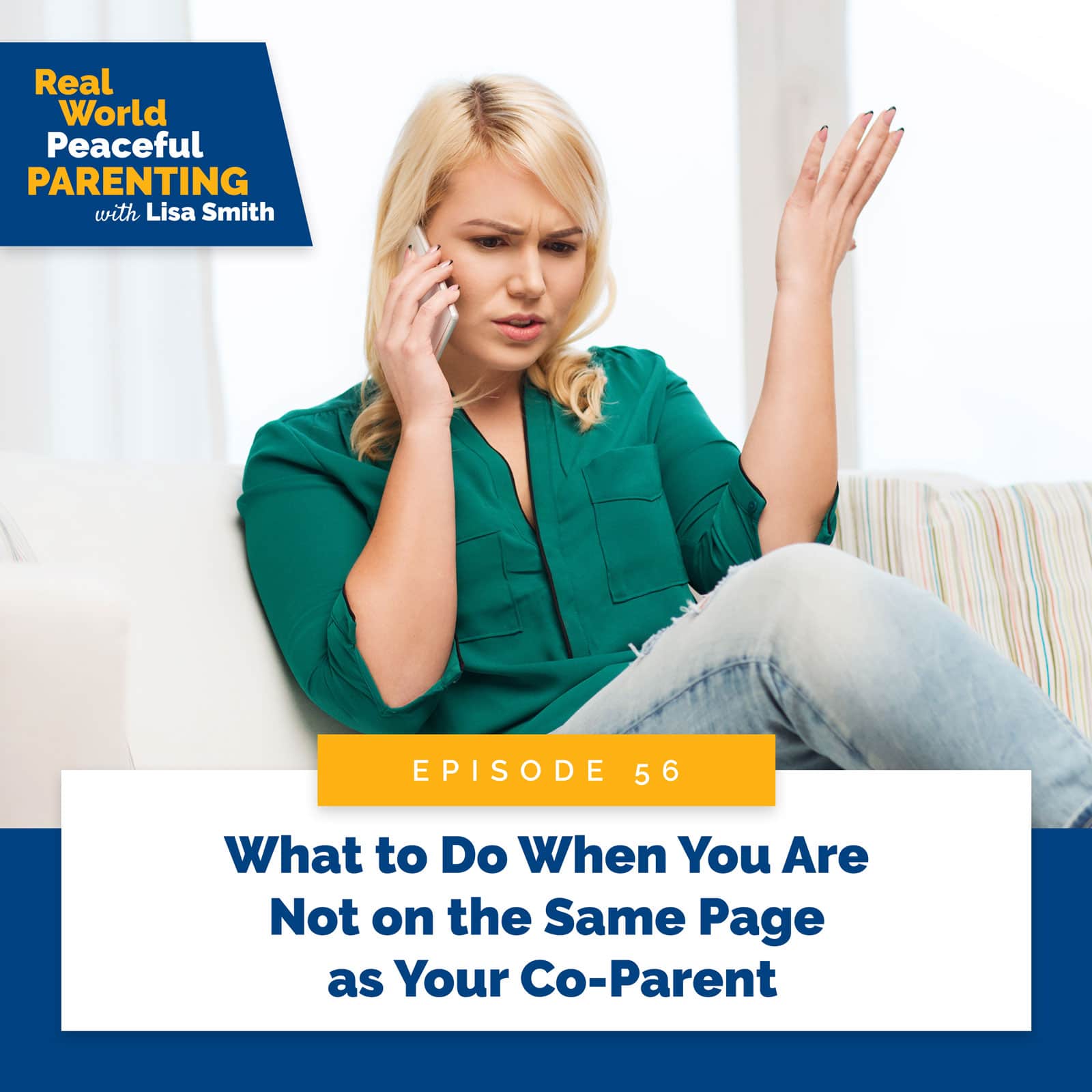 Real World Peaceful Parenting with Lisa Smith | What to Do When You Are Not on the Same Page as Your Co-Parent