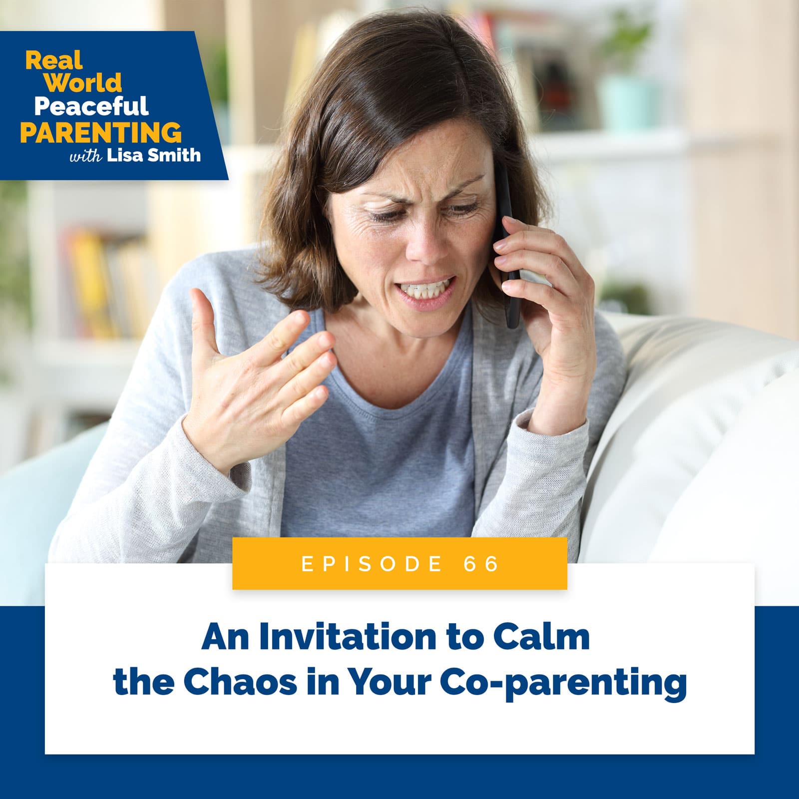 Real World Peaceful Parenting with Lisa Smith | An Invitation to Calm the Chaos in Your Co-parenting