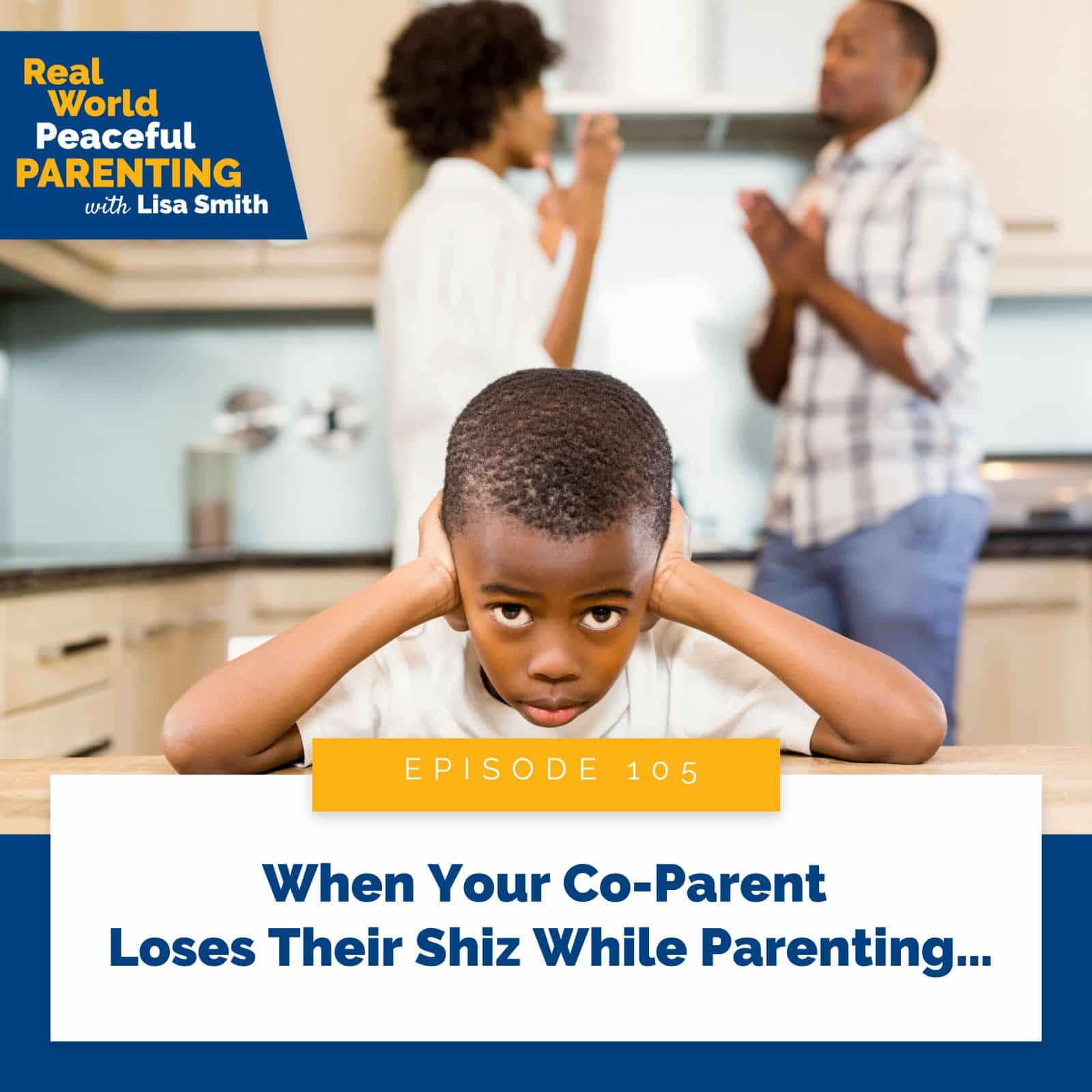 Real World Peaceful Parenting with Lisa Smith | When Your Co-Parent Loses Their Shiz While Parenting…