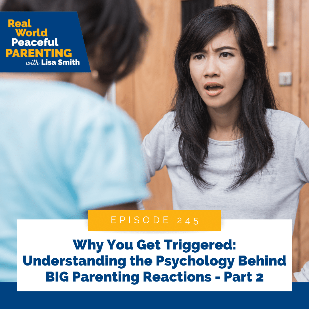Why You Get Triggered: Understanding the Psychology Behind BIG Parenting Reactions - Part 2