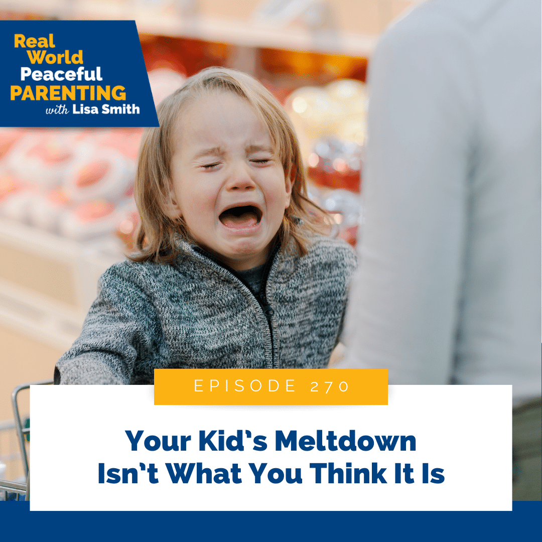 Your Kid’s Meltdown Isn’t What You Think It Is